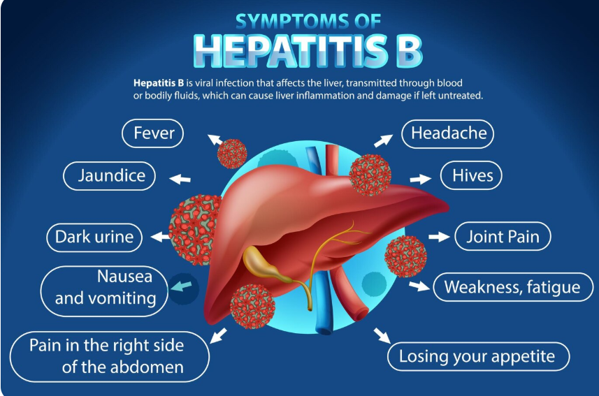 Symptoms of Hepatitis B Infographic